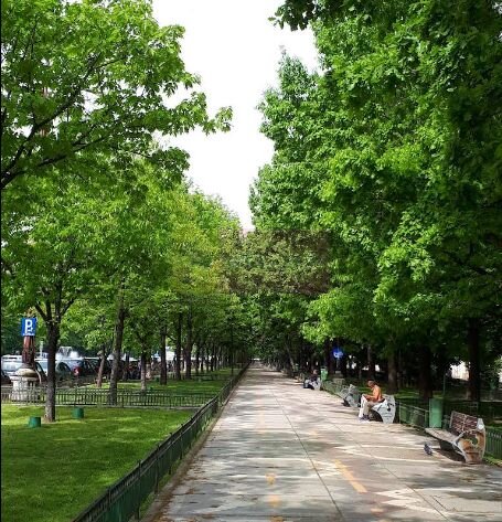 Vanzare apartament de 3 camere bd Unirii, vedere bulevard, 277.000e